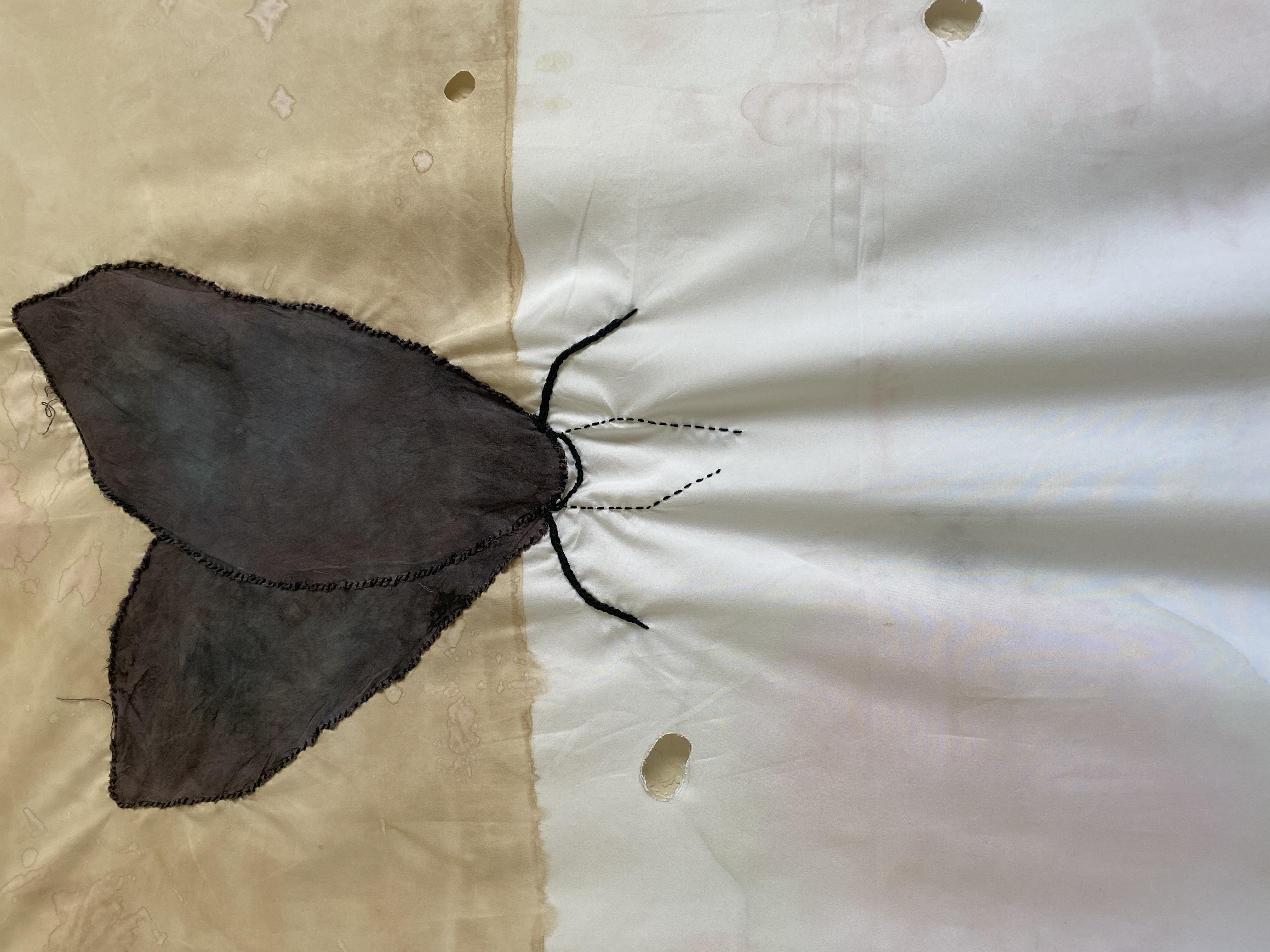 detail 6